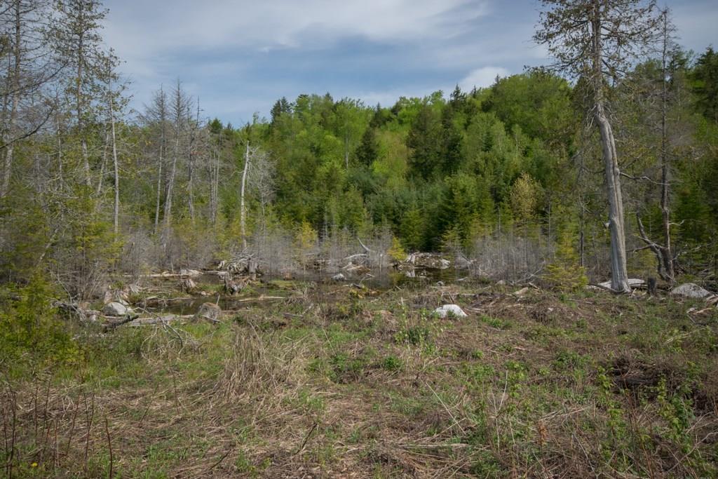Lot 5 Oak Mountain Road Springfield, ME 04487 - Photo 6 of 13 20181130142745916354000000-o