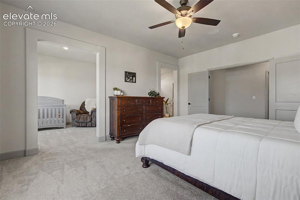 11634 Justify Drive Colorado Springs, CO 80921 - Photo 14 of 46