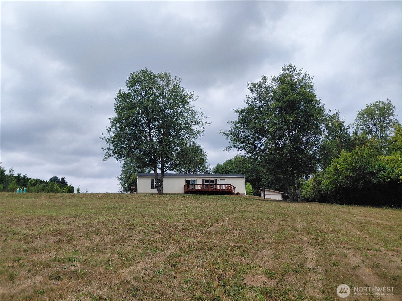 927 Cinebar Road Cinebar, WA 98533 - Photo 13 of 31 a view of a tree in front of a house with a yard