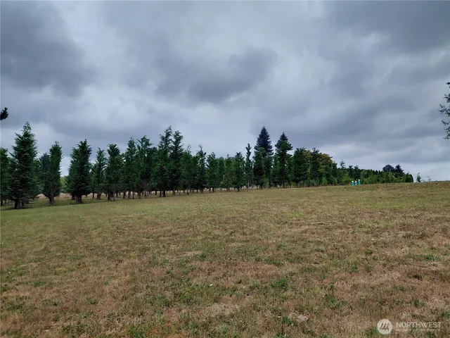 a view of a field with trees in background