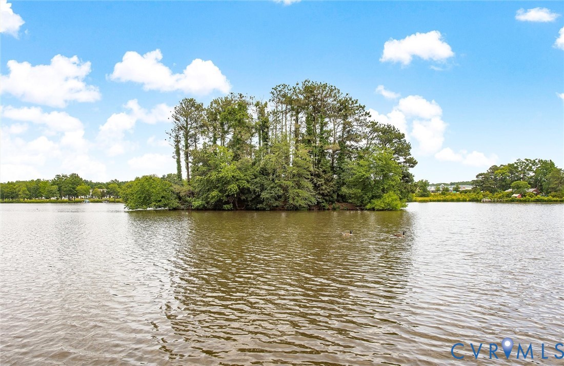 5309 Rock Harbour Road Midlothian, VA 23112 - Photo 46 of 47 a view of lake