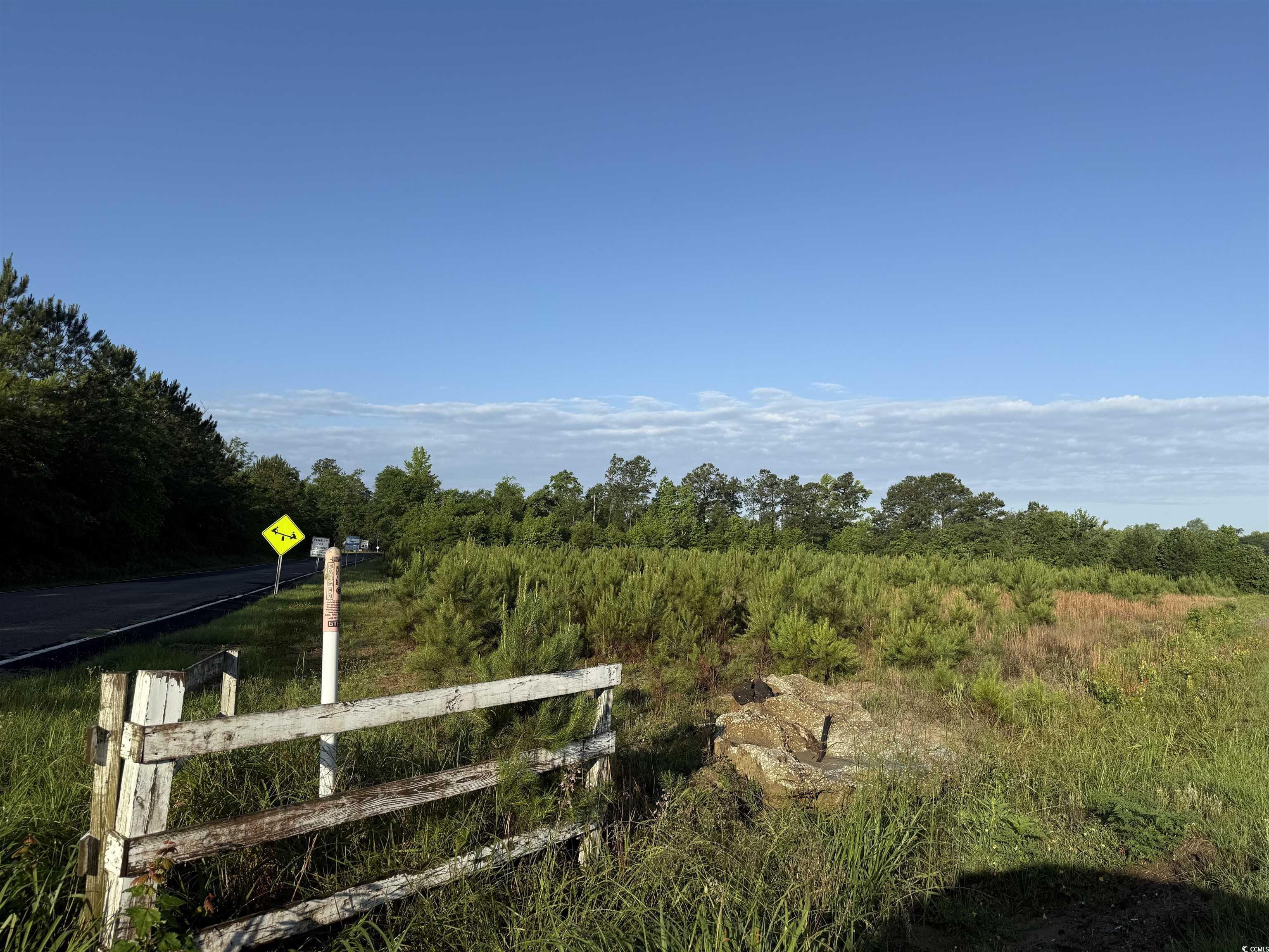 7-acres-tbd Old Pee Dee Road Hemingway, SC 29554 - Photo 2 of 9