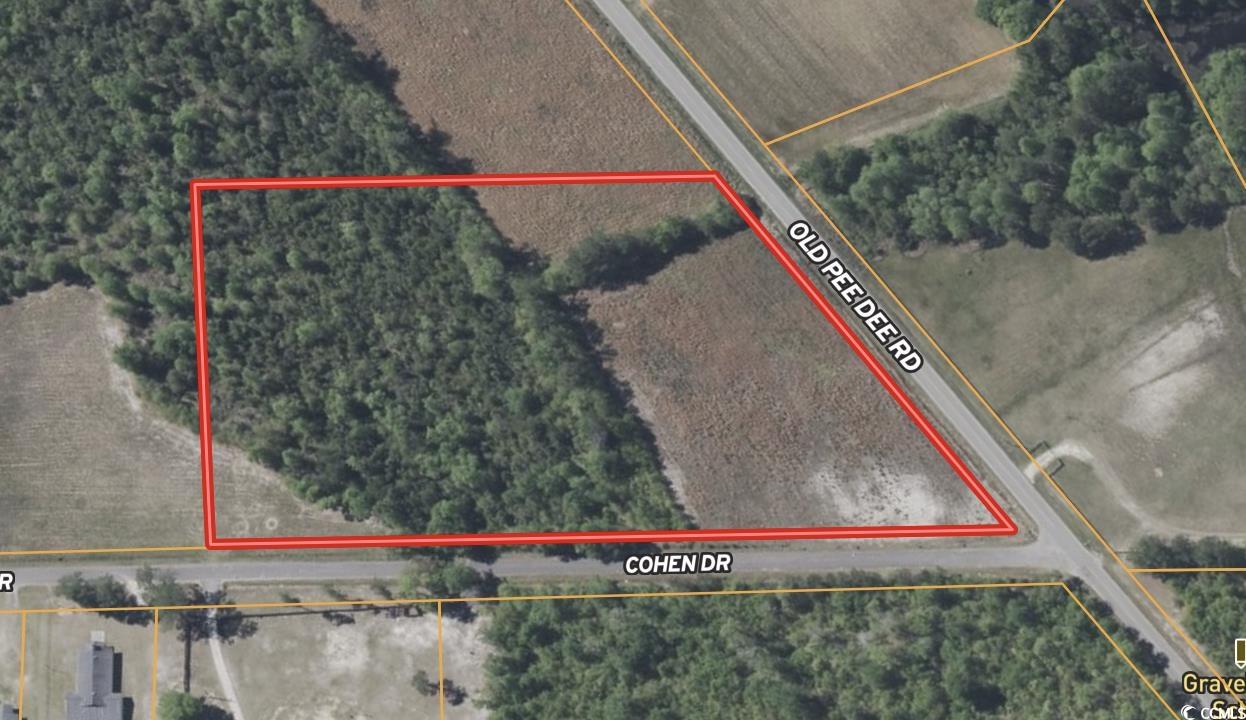 7-acres-tbd Old Pee Dee Road Hemingway, SC 29554 - Photo 9 of 9
