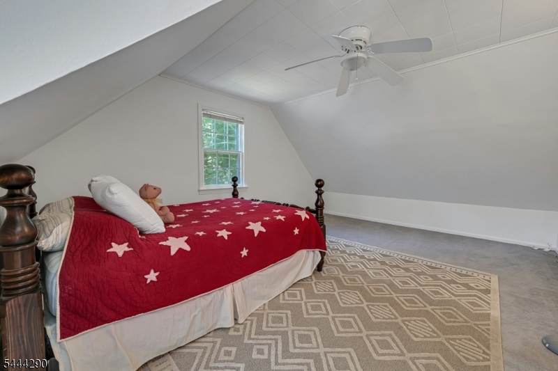 18 Yorke Road Mountain Lakes, NJ 07046 - Photo 27 of 38