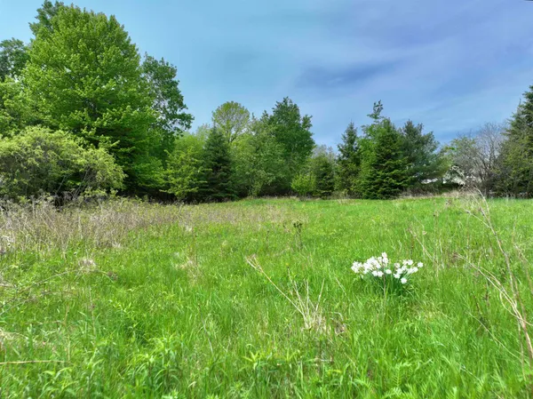$9,000 | Lot 3 1st S, Park Falls, WI 54552