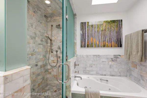 a bathroom with a bathtub and shower