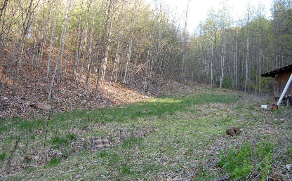 0 Fishers View Road Shawsville, VA 24162 - Photo 15 of 16 a view of a backyard