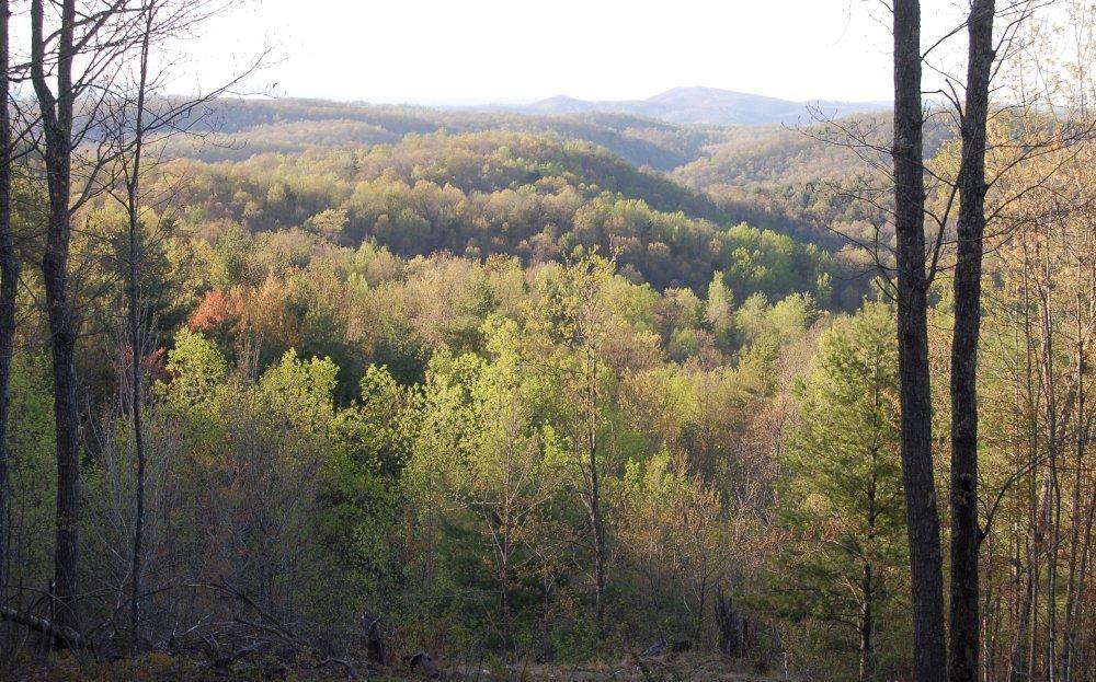 0 Fishers View Road Shawsville, VA 24162 - Photo 2 of 16 a view of a forest with mountains in the background