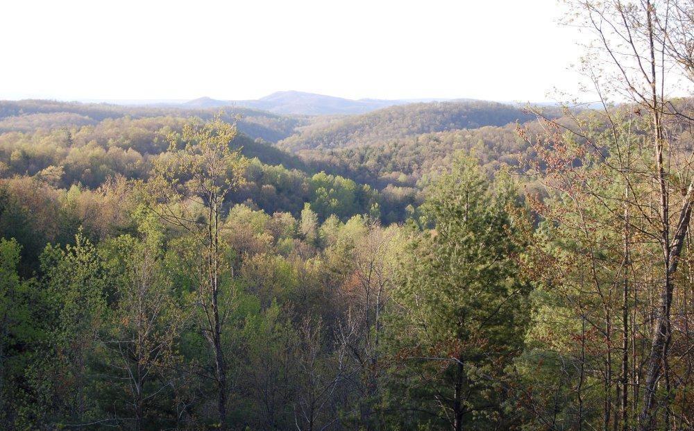 0 Fishers View Road Shawsville, VA 24162 - Photo 3 of 16 a view of a city with lush green forest