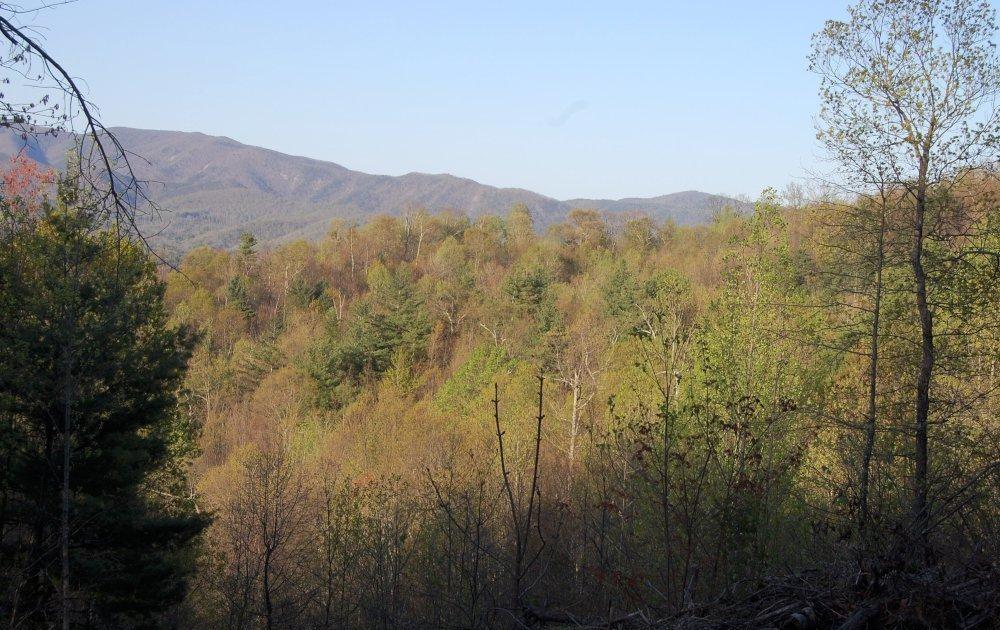 0 Fishers View Road Shawsville, VA 24162 - Photo 5 of 16 a view of a mountain