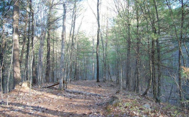 0 Fishers View Road Shawsville, VA 24162 - Photo 6 of 16 a backyard of a house with lots of green space
