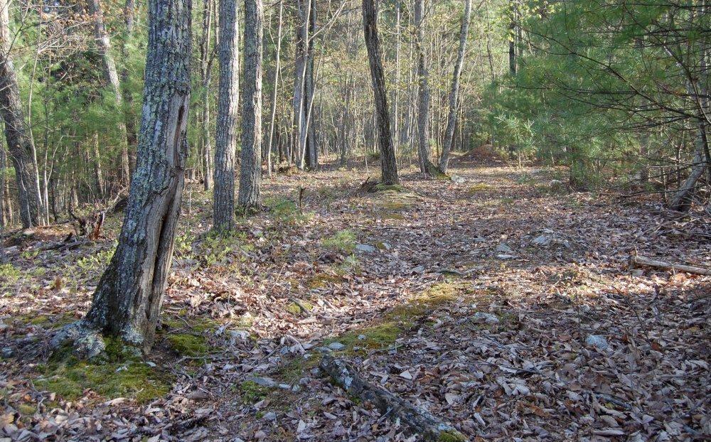0 Fishers View Road Shawsville, VA 24162 - Photo 10 of 16 a view of outdoor space and tree