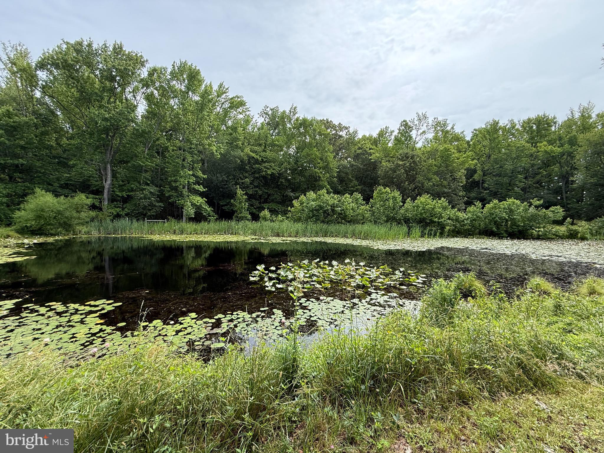 204 Alloway Aldine Road Woodstown, NJ 08098 - Photo 12 of 19