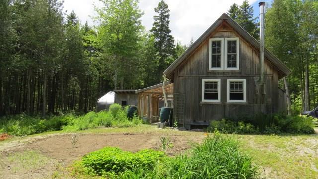 512 Bert Gray Road Sullivan, ME 04664 - Photo 4 of 35 Well landscaped yard