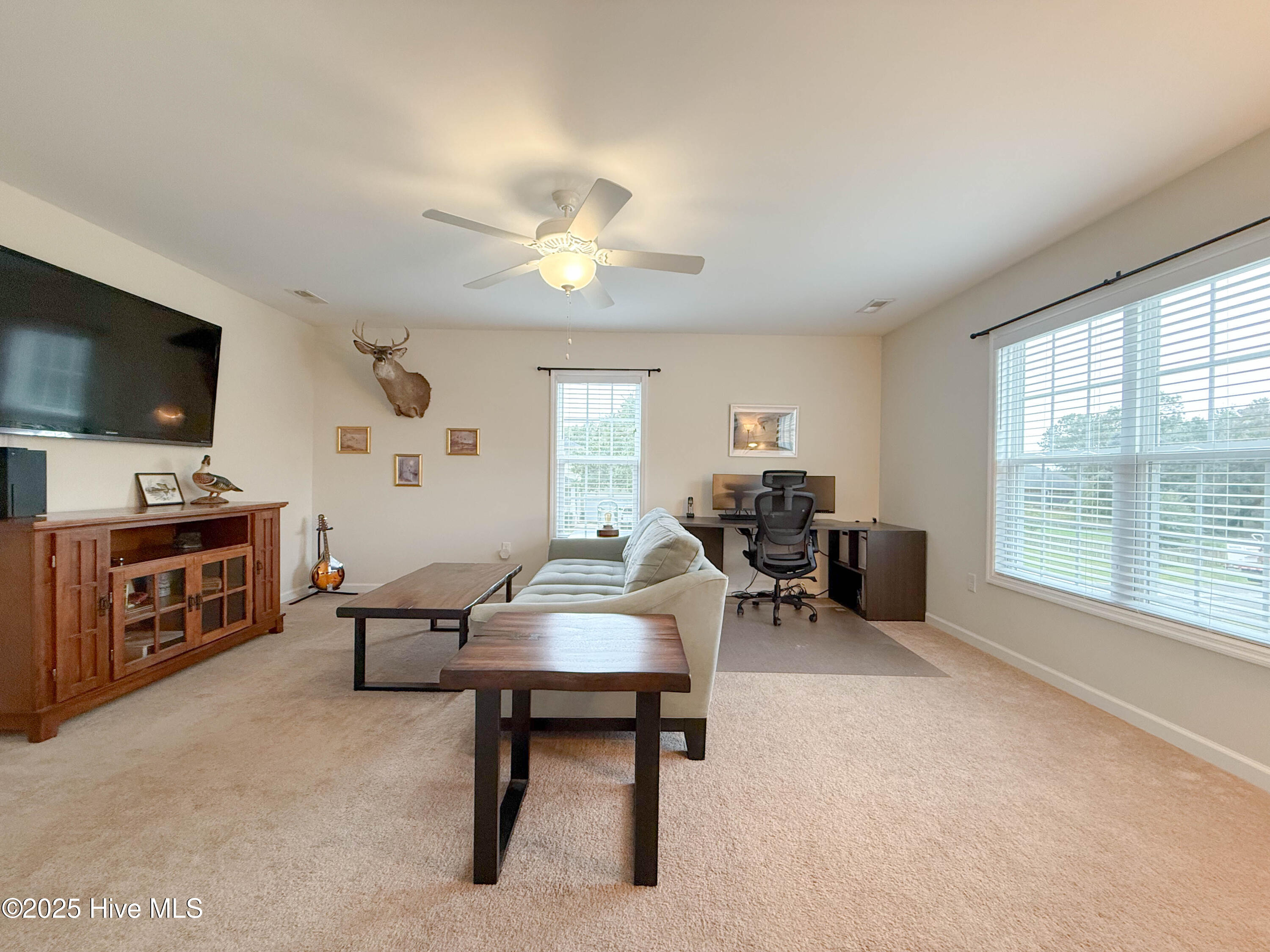 201 Willa's Court Holly Ridge, NC 28445 - Photo 60 of 77 Upstairs Den