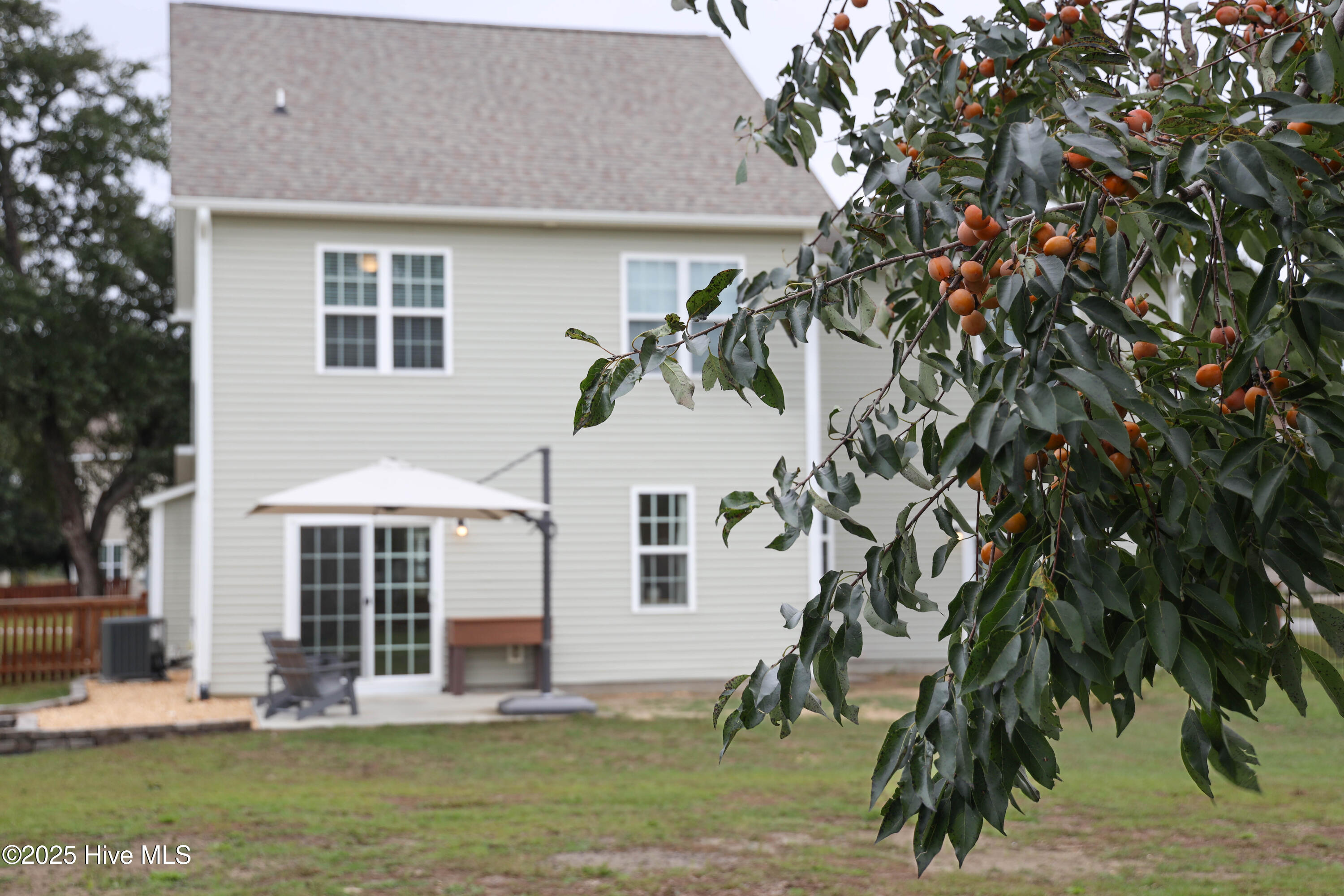 201 Willa's Court Holly Ridge, NC 28445 - Photo 70 of 77 Fruit Tree