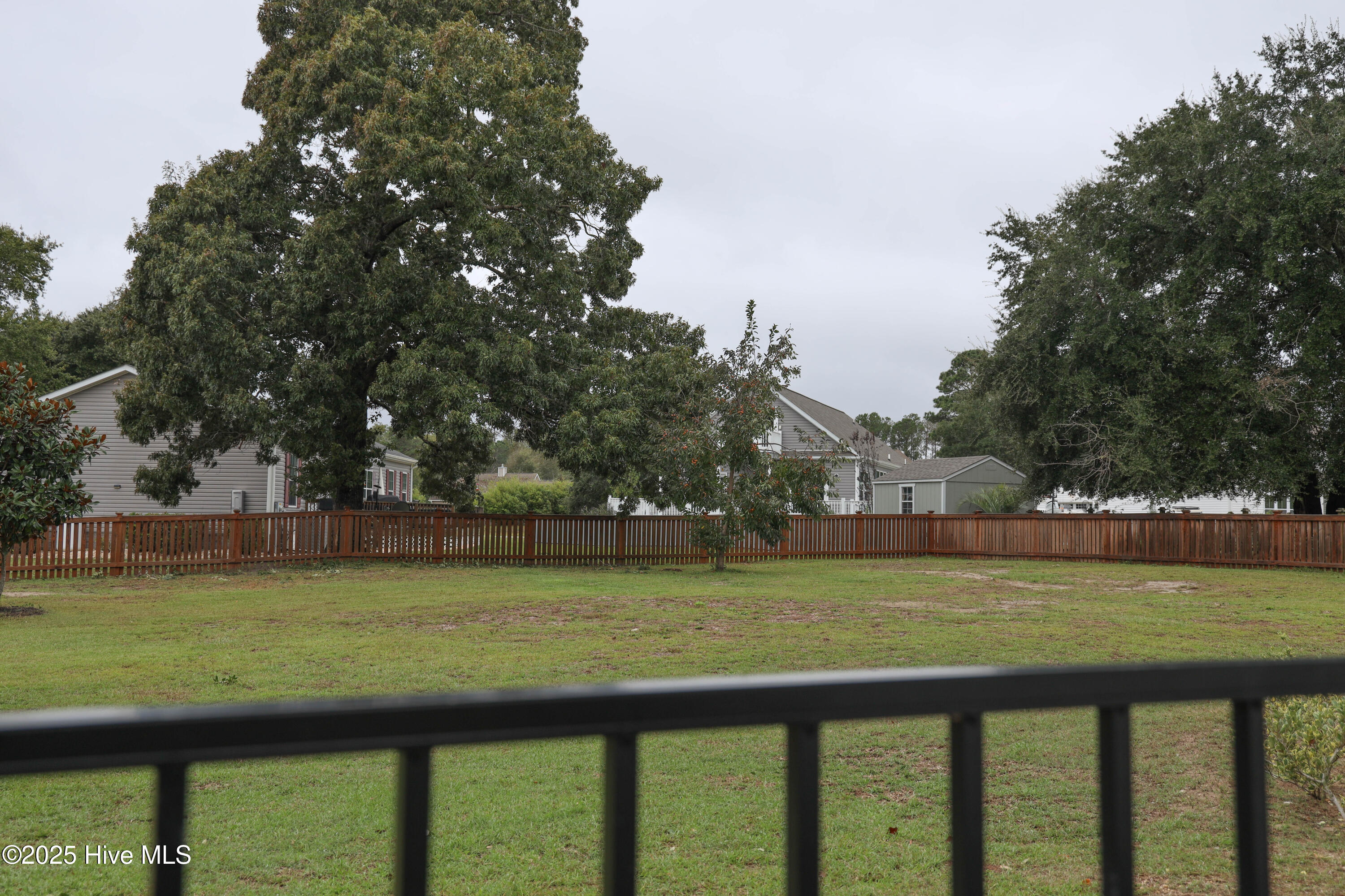 201 Willa's Court Holly Ridge, NC 28445 - Photo 72 of 77 Mature Landscape