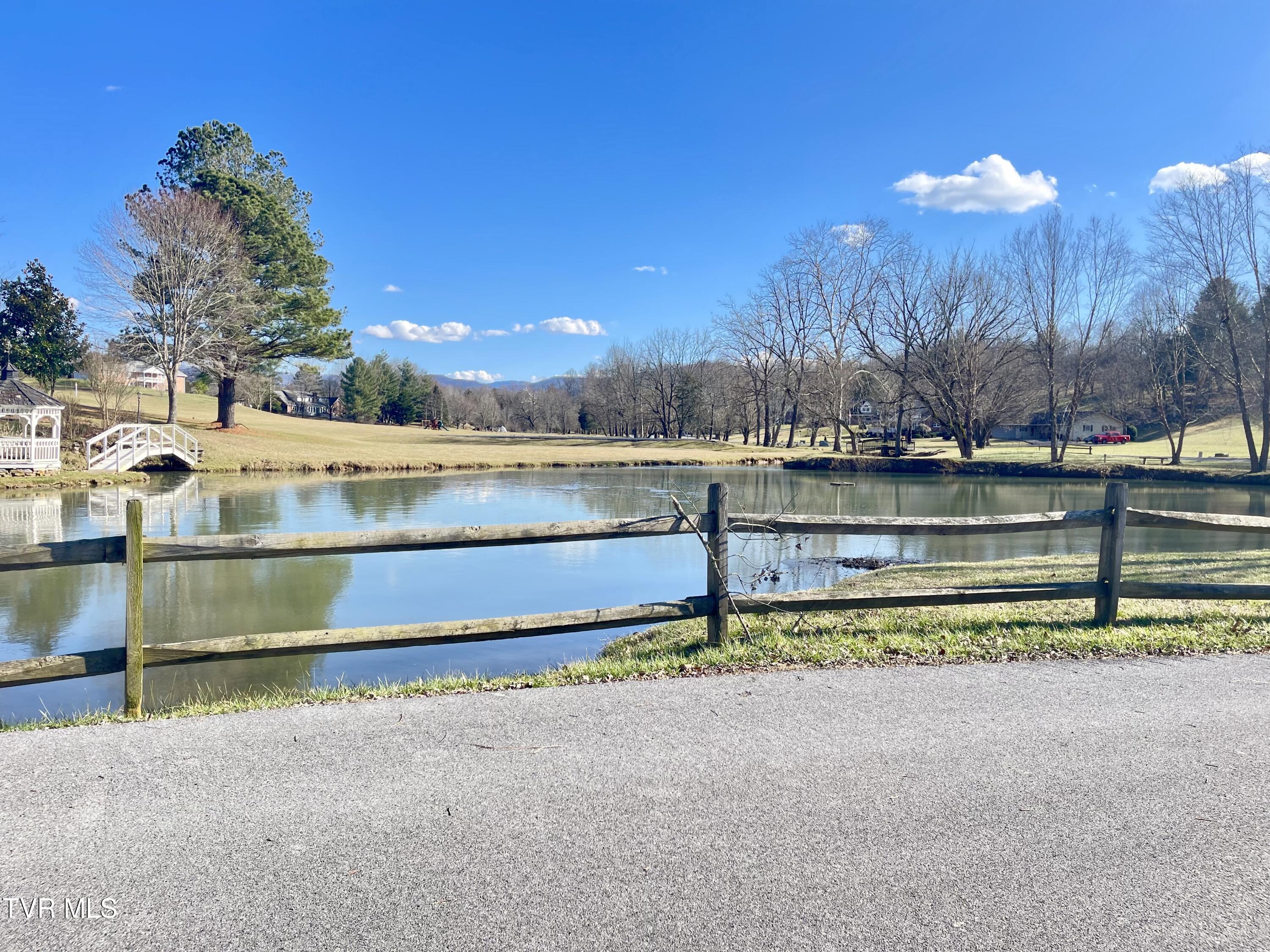 652 Fox Meadow Road, Unit 652 Elizabethton, TN 37643 - Photo 5 of 27 IMG_1377