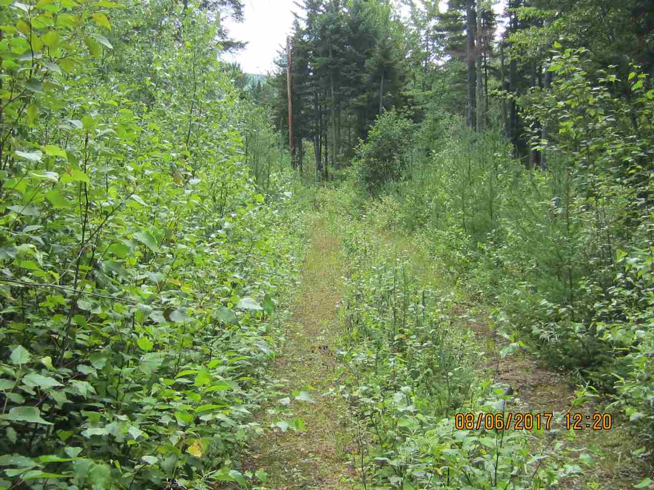 58 Bungy Road Columbia, NH 03576 - Photo 1 of 7