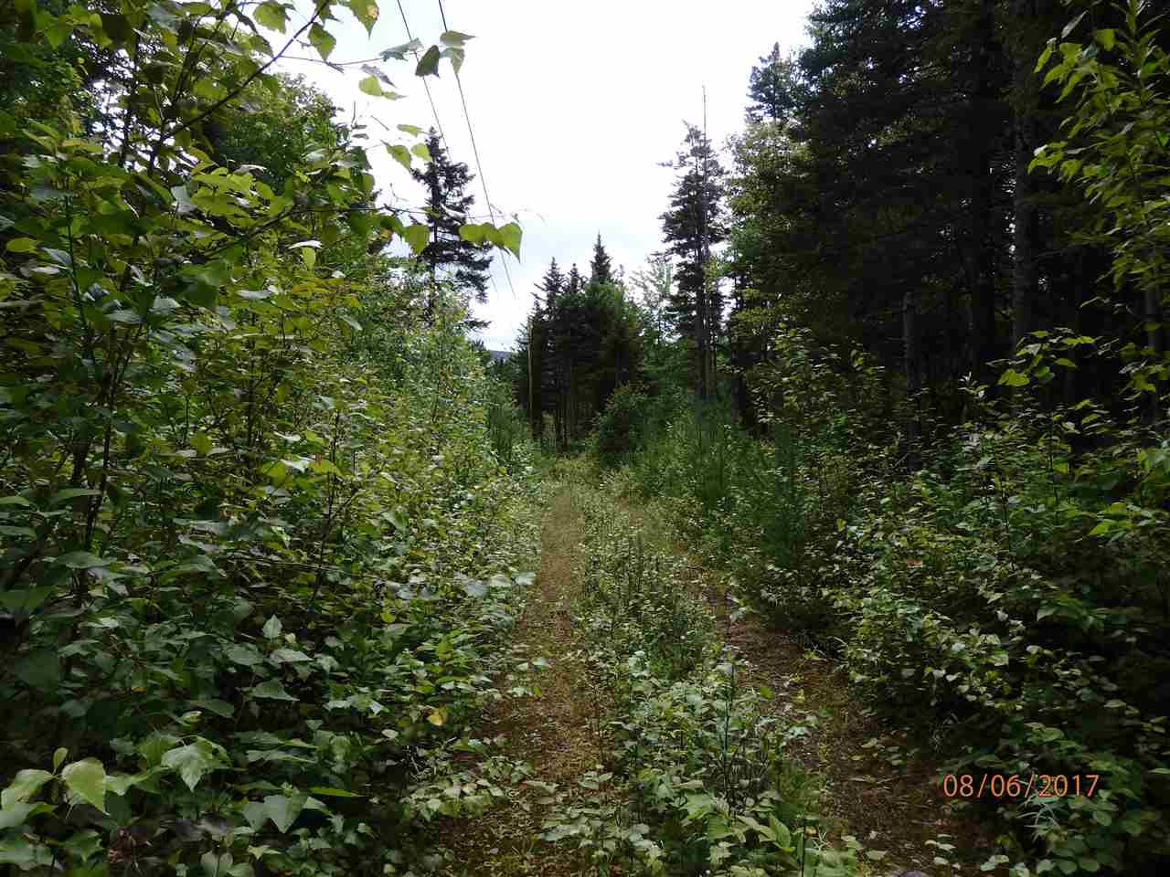 58 Bungy Road Columbia, NH 03576 - Photo 3 of 7