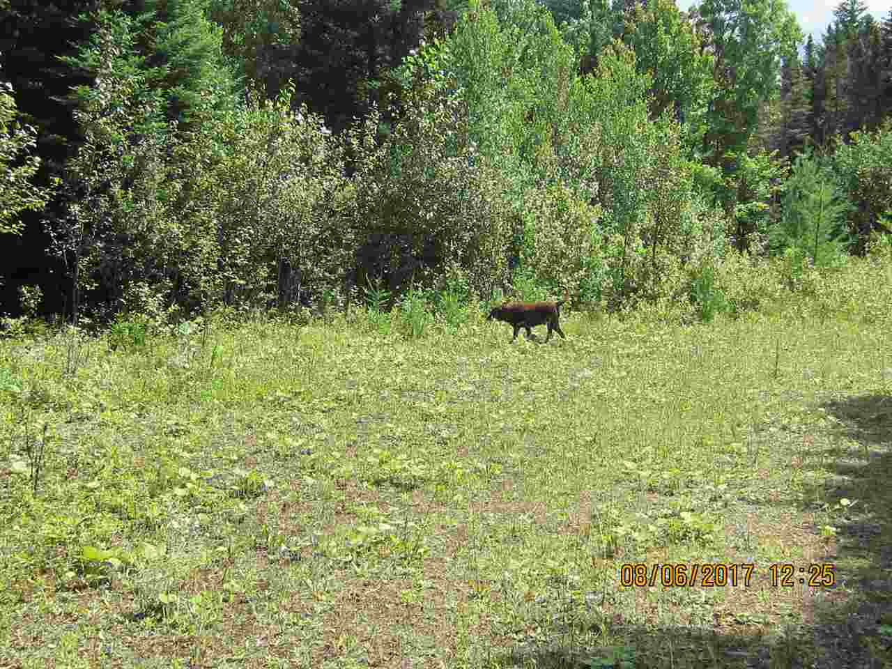 58 Bungy Road Columbia, NH 03576 - Photo 7 of 7