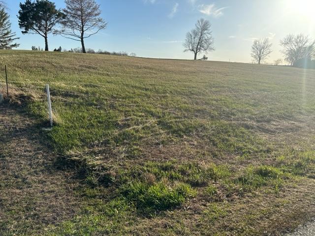 0 368th Avenue Montevideo, MN 56265 - Photo 6 of 6