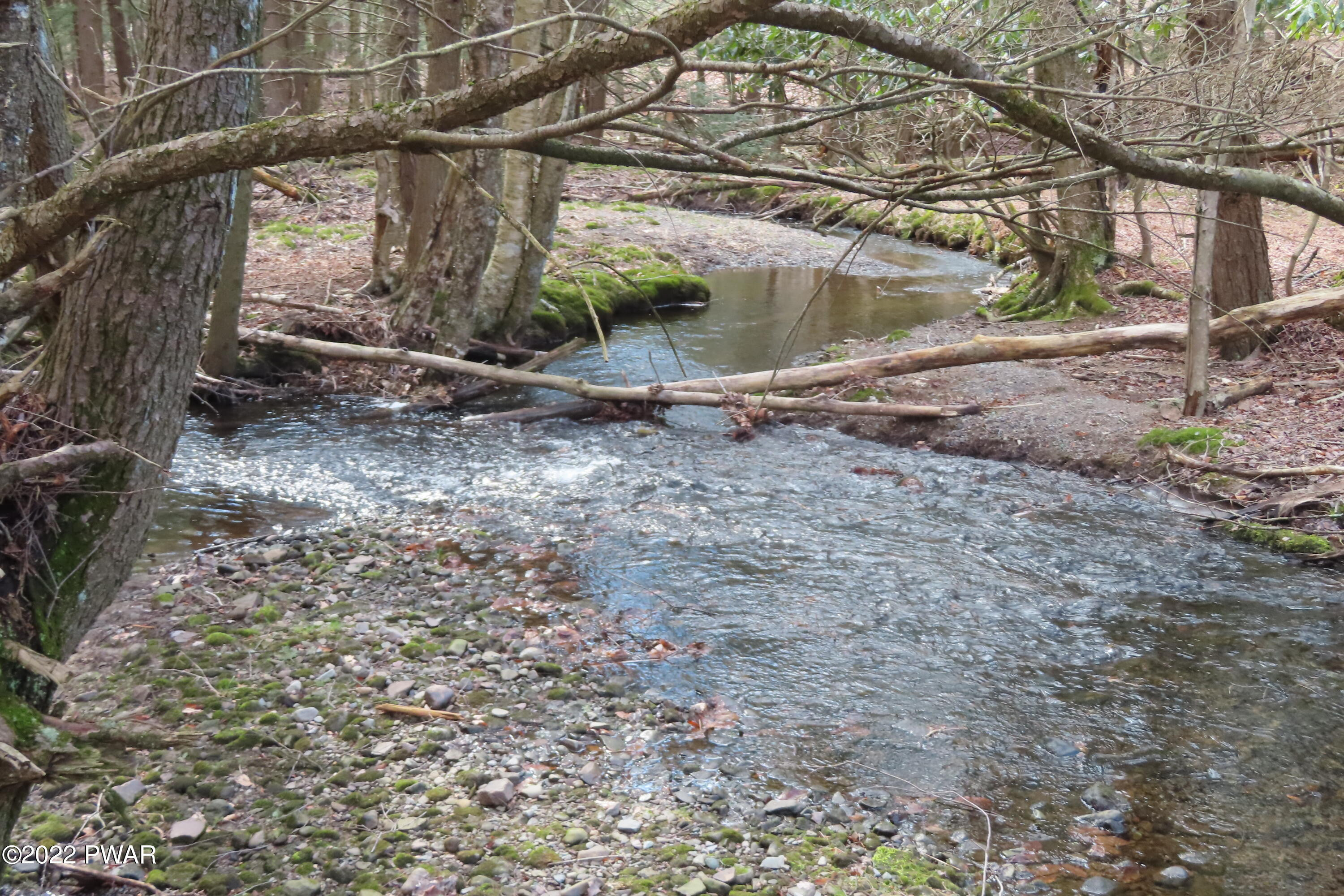 Lot 201 Sawmill Road Greentown, PA 18426 - Photo 4 of 15 IMG_0287