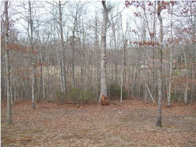 520 Black Mountain Road Dunlap, TN 37327 - Photo 11 of 23 Additional Photo
