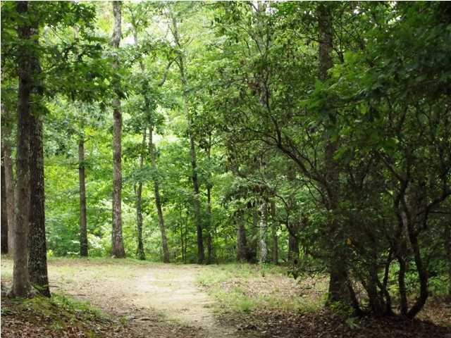 520 Black Mountain Road Dunlap, TN 37327 - Photo 23 of 23 Additional Photo