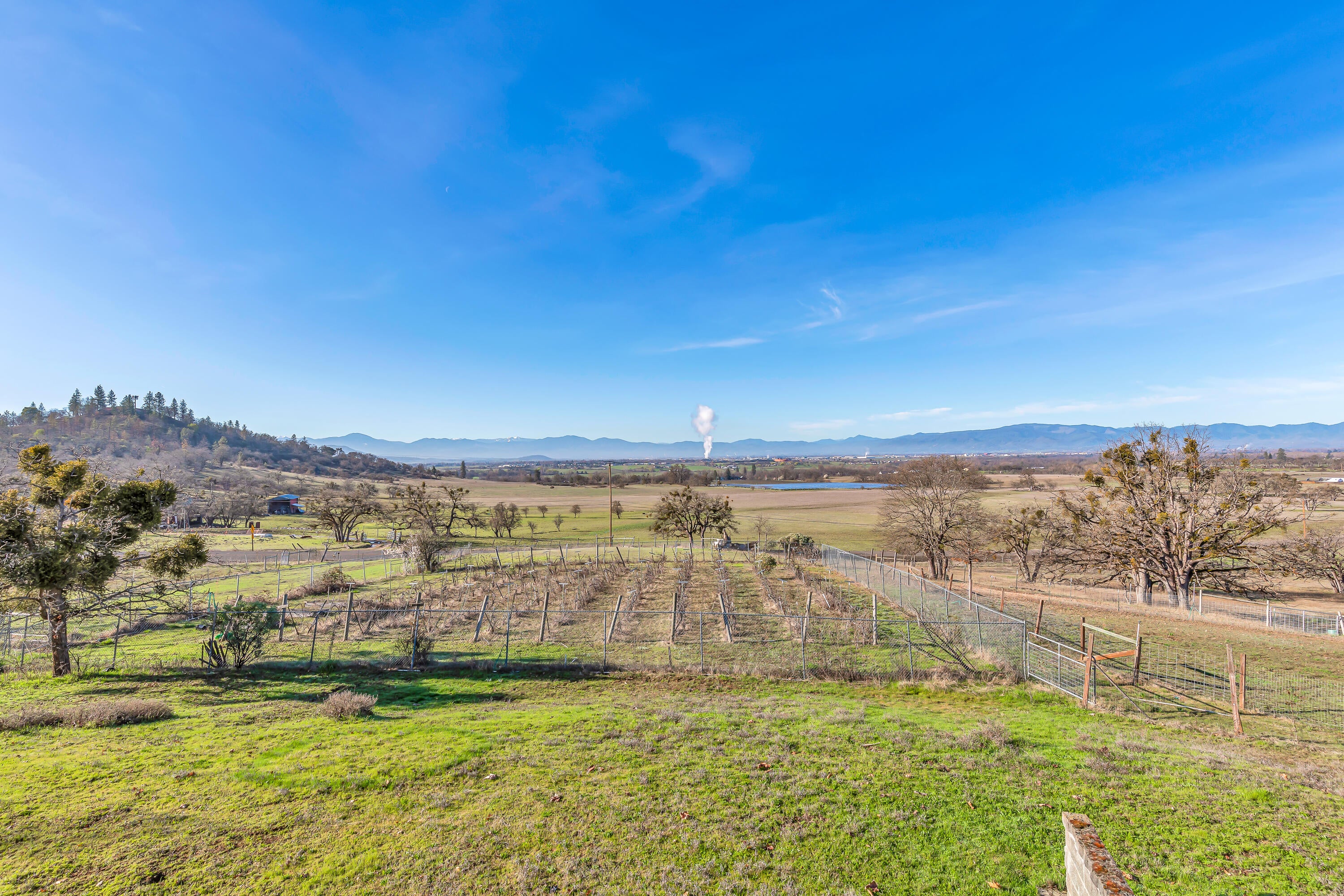 924 West Linn Road Eagle Point, OR 97524 - Photo 44 of 58 9R9A5244