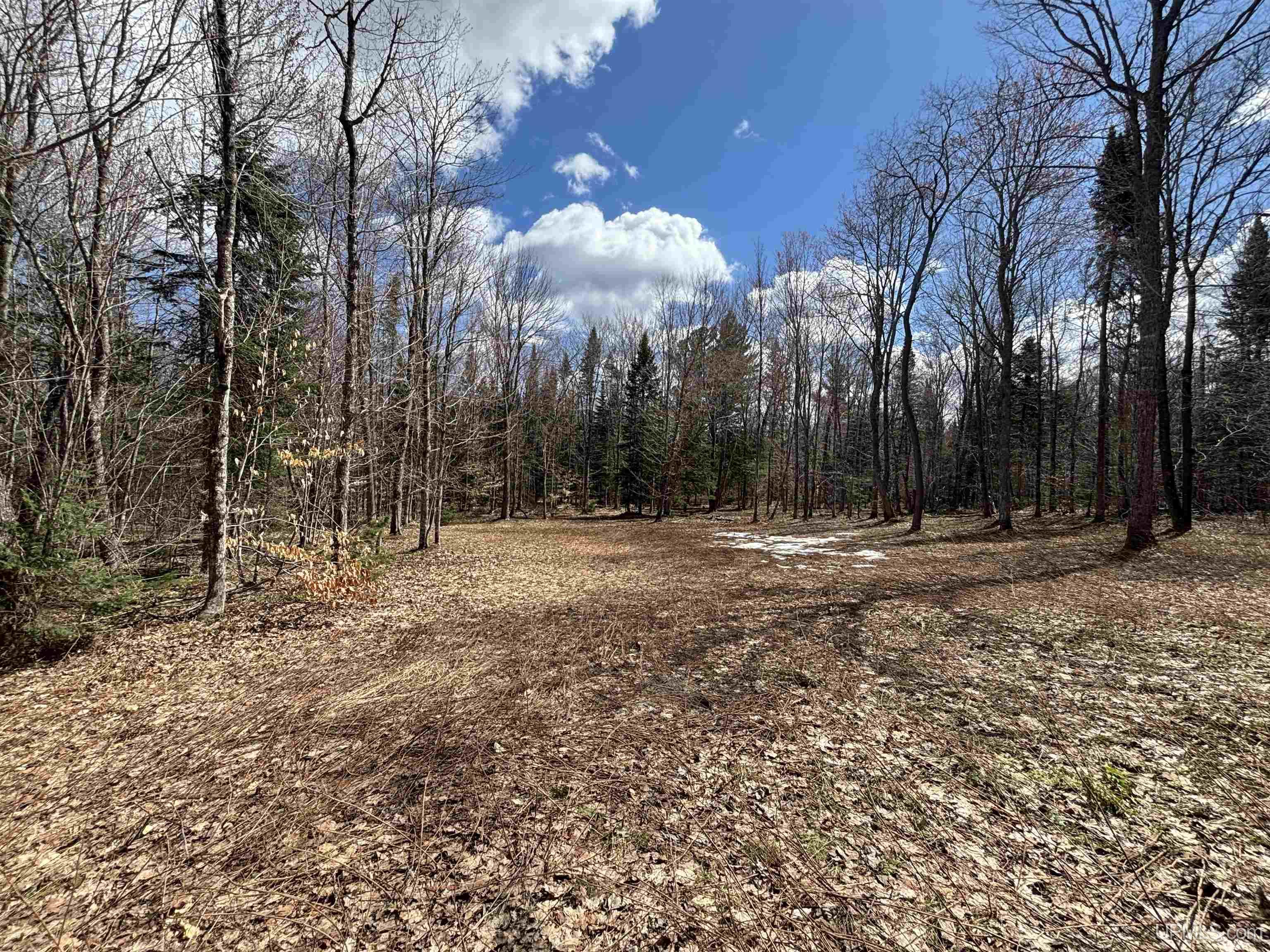 11445 Chesbrough Lake Road Newberry, MI 49868 - Photo 60 of 75