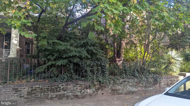 a view of a forest filled with trees