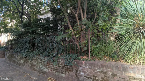 a view of a yard with plants and trees