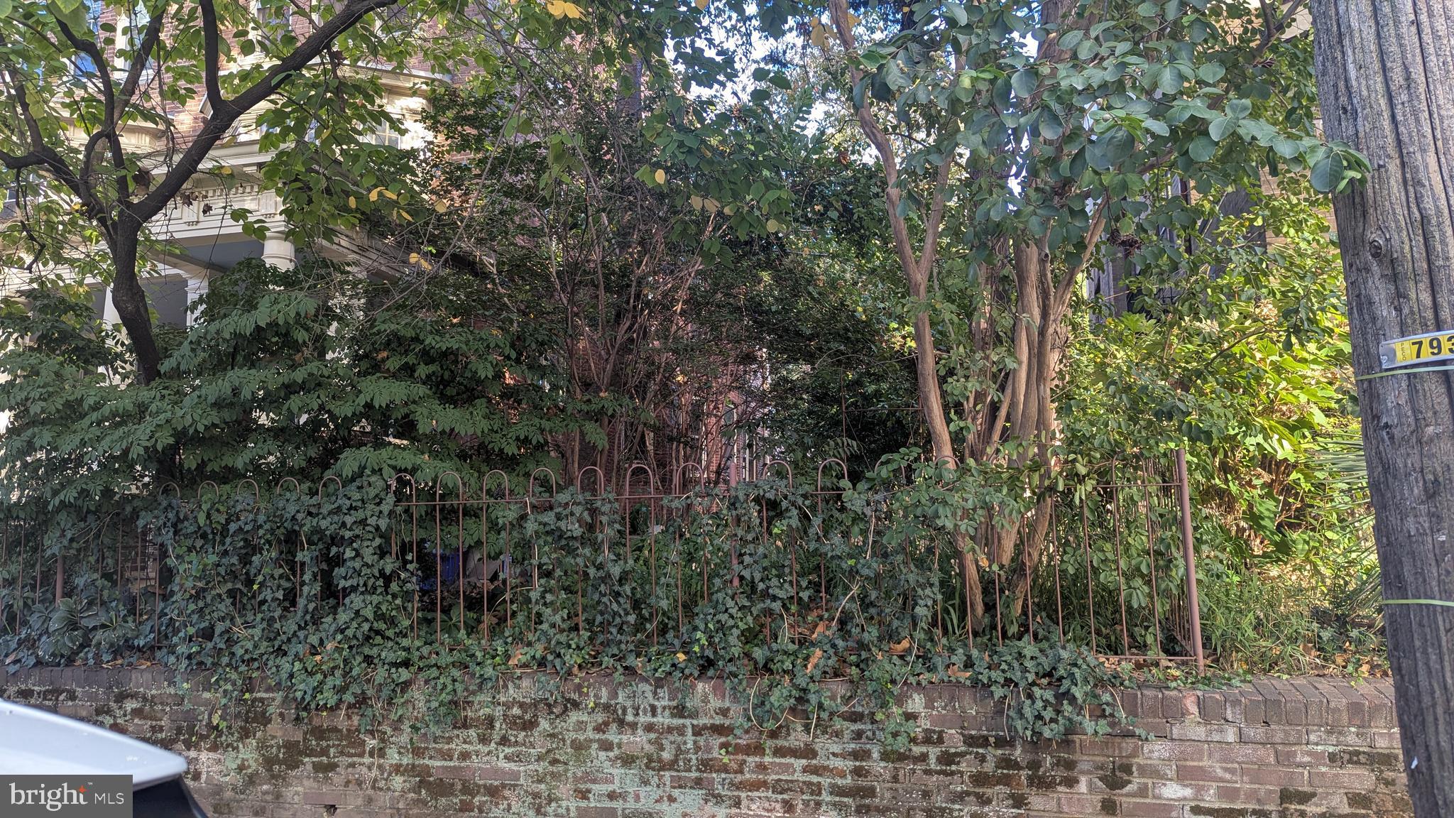 513 South 46th Street Philadelphia, PA 19143 - Photo 4 of 11 a view of a forest with a tree