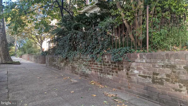 a view of a yard with plants and trees