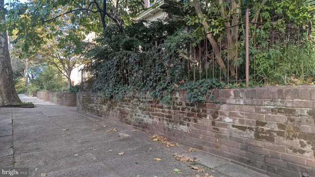 a view of a yard with plants and trees