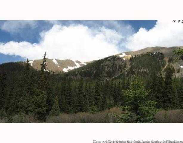 67 Webster Pass Road Dillon, CO 80435 - Photo 5 of 8 Land/Lot.