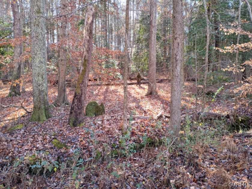 5117 Courthouse Road Prince George, VA 23875 - Photo 8 of 46 woods behind house