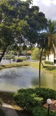 a view of a yard with plants and trees