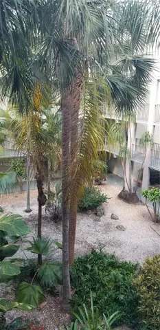 a kitchen with a stove and a microwave