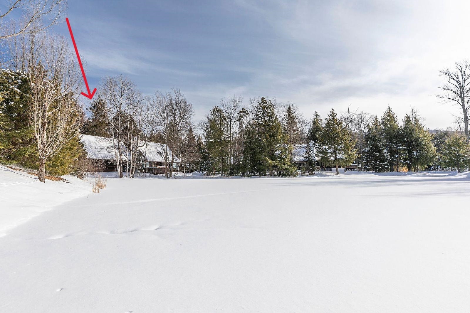 81 Pond View Road, Unit 81 Winhall, VT 05340 - Photo 3 of 39