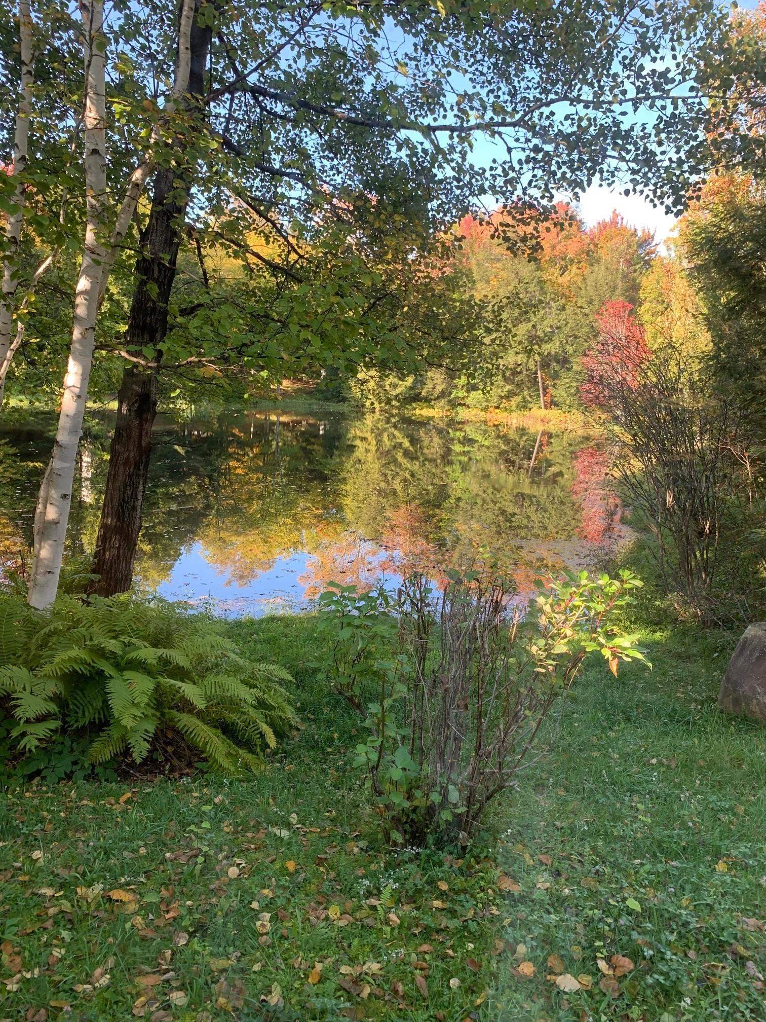 81 Pond View Road, Unit 81 Winhall, VT 05340 - Photo 38 of 39