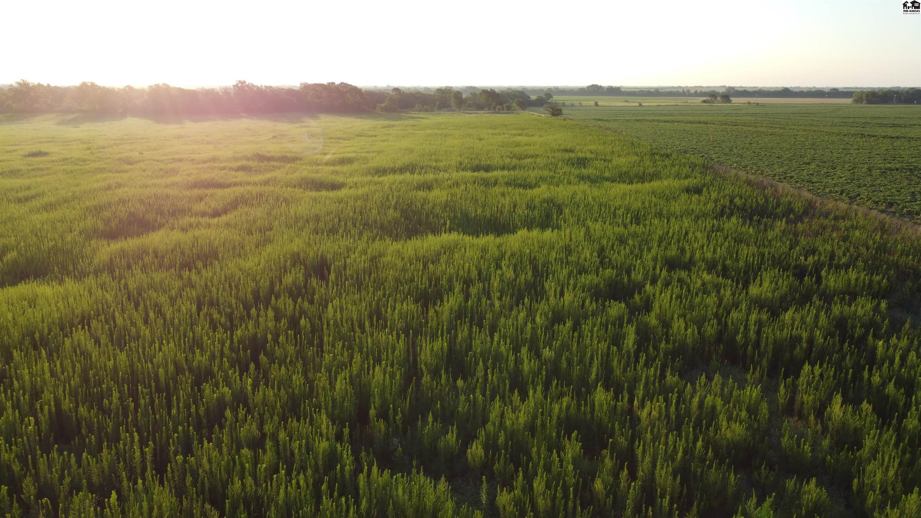 0 West Boundary Road Pretty Prairie, KS 67570 - Photo 8 of 14 Gallery Image 8