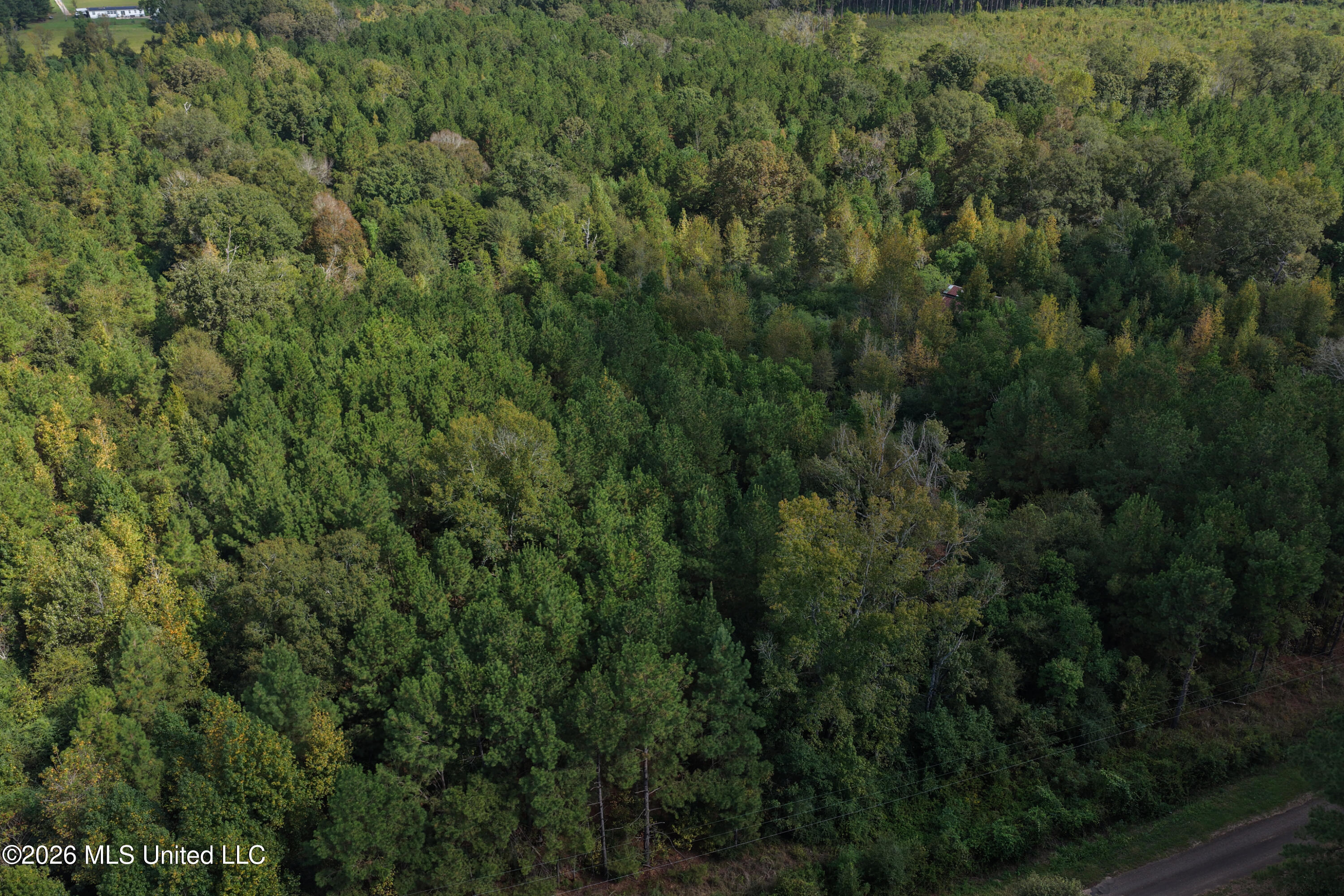 Allen Lane Magnolia, MS 39652 - Photo 8 of 21 DJI_20261002104947_0140_D