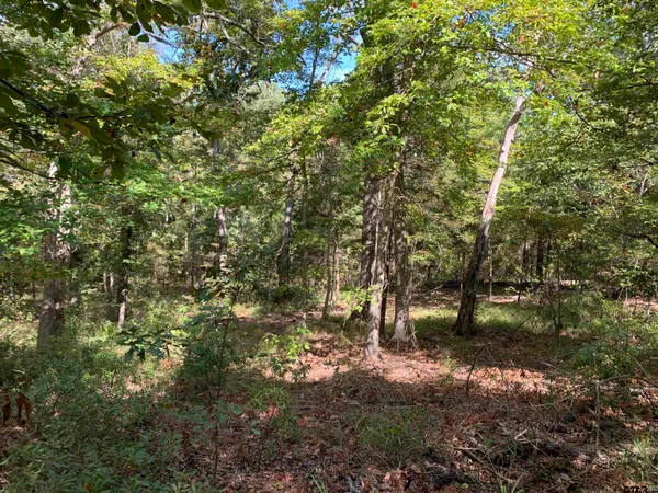 $320,000 | Tbd Tbd Hills Drive, Athens, TX 75751