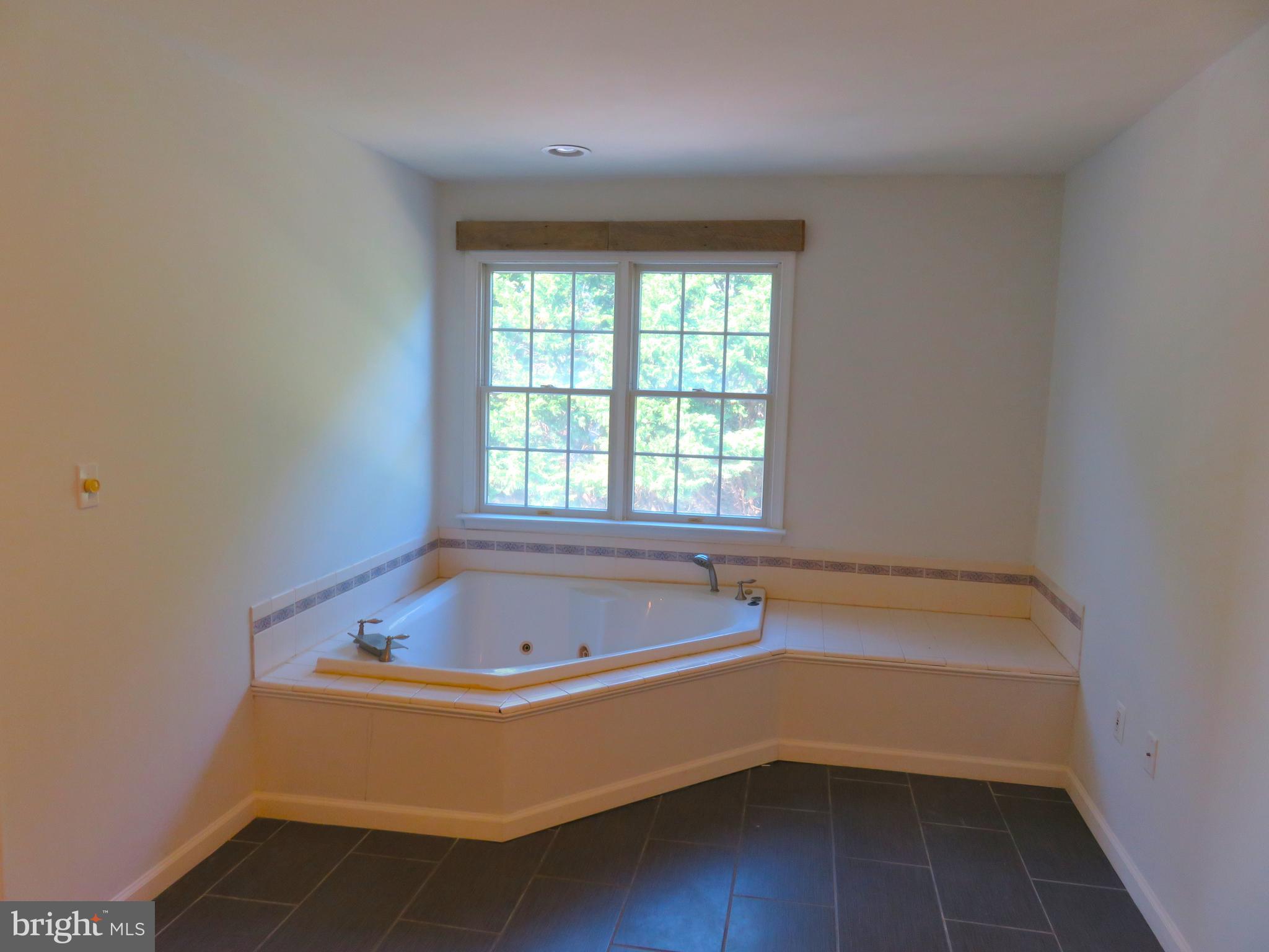 27 Bridle Ridge Circle Lewes, DE 19958 - Photo 41 of 61 Whirlpool tub in primary
