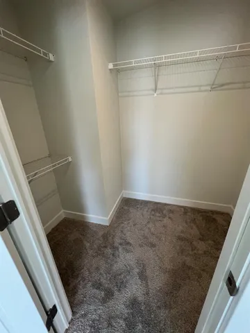 a bathroom with a sink a mirror and a shower