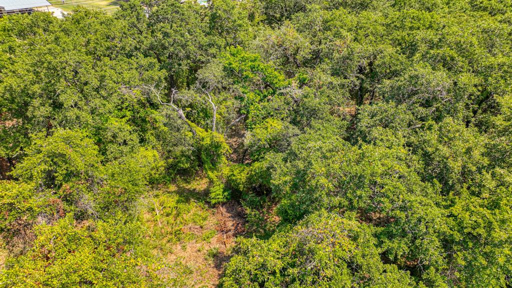 550 New Highland Road Springtown, TX 76082 - Photo 12 of 15 Aerial view