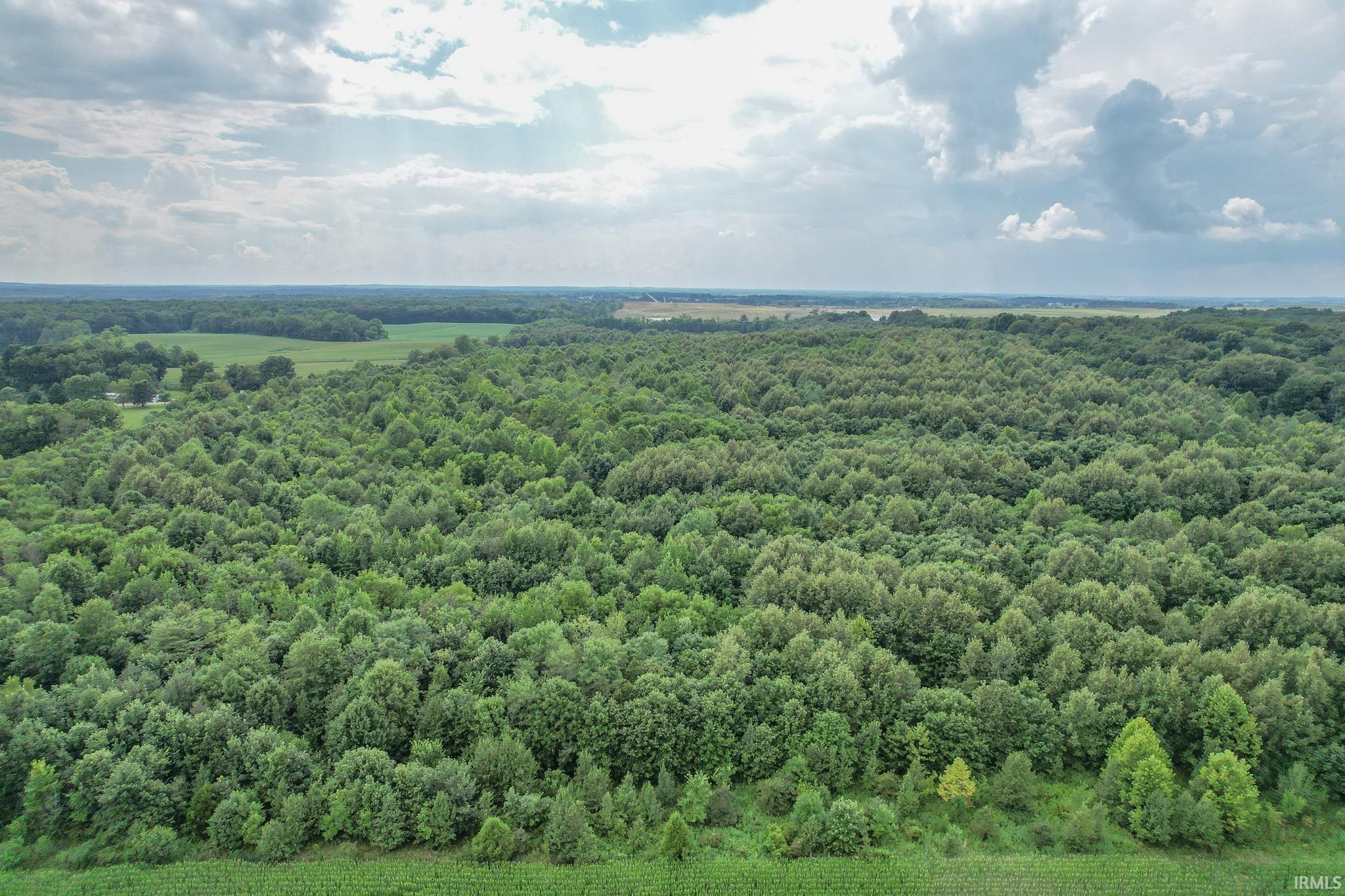 3500 Doerner Road Lynnville, IN 47619 - Photo 4 of 5