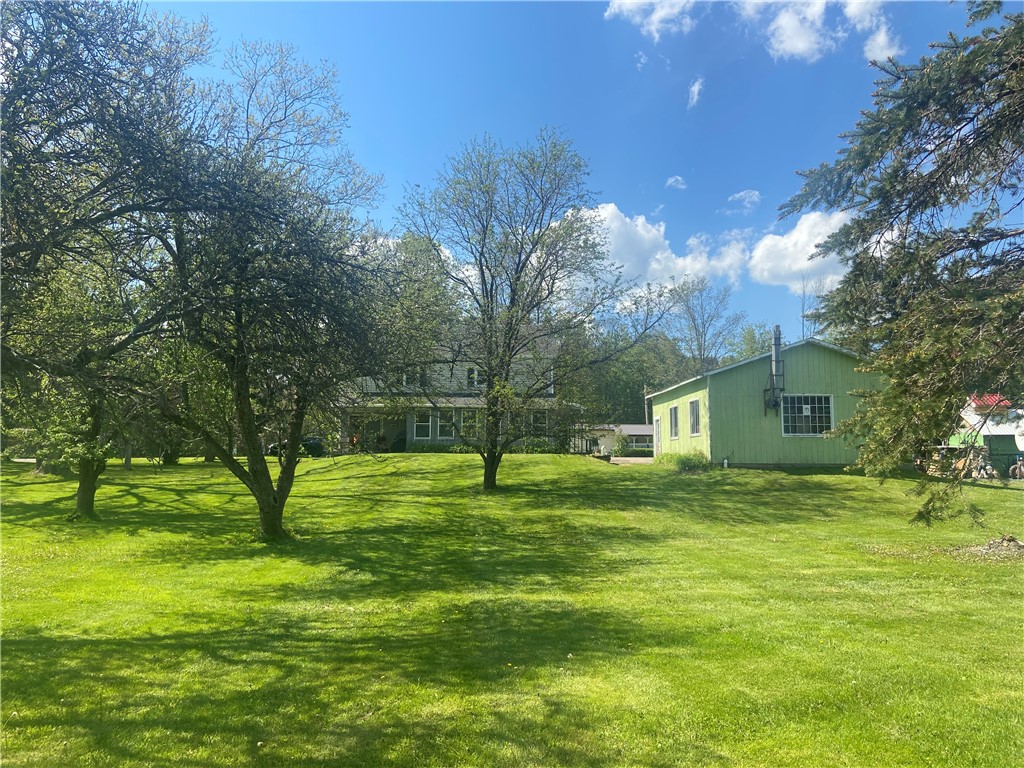 100 Hubbells Corner Road Roxbury, NY 12474 - Photo 26 of 31 Spacious Yard
